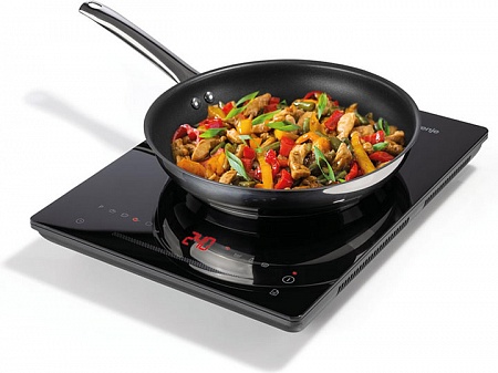 ���� ������ ������������ Gorenje ICY2000SP