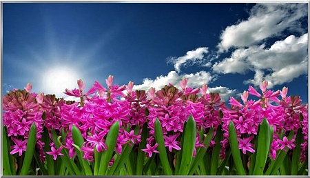 TV LED Panasonic SMART TX-75FXR780