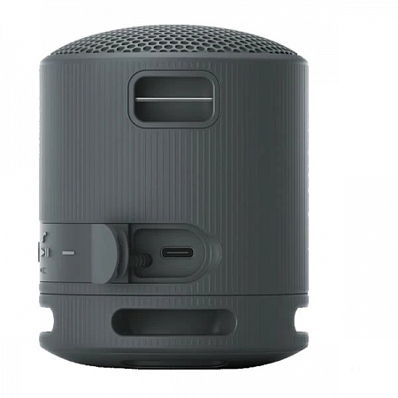 ������� ����������� Sony SRS-XB100/ BCE