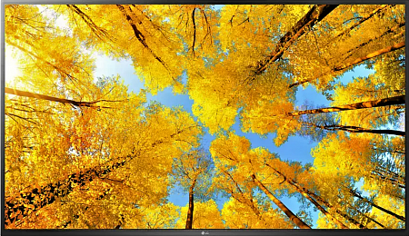 TV LED LG SMART 4K 55UQ76003LD