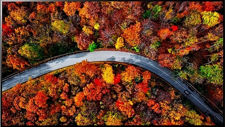 TV LED LG SMART 4� 50UP81006LA.ADKB