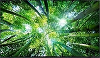 TV LED LG SMART 4K 50UQ80006LB
